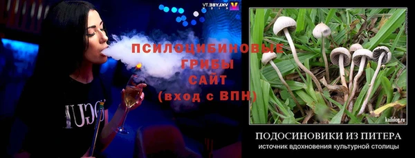 apvp Пестово