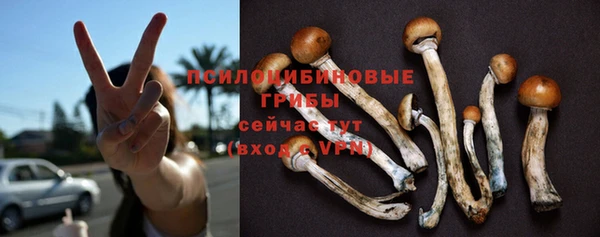 apvp Пестово