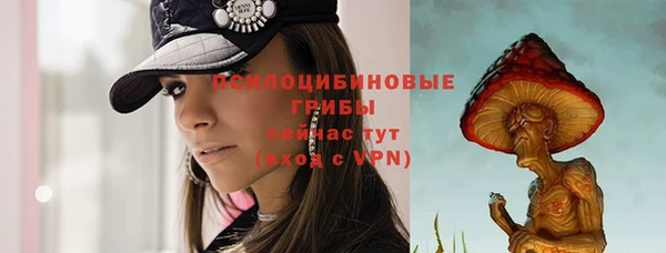 apvp Пестово