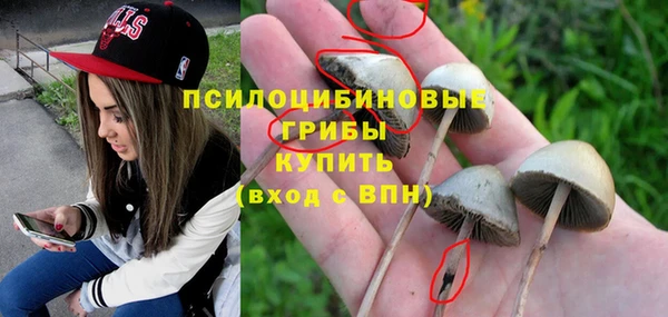 твердый Переславль-Залесский