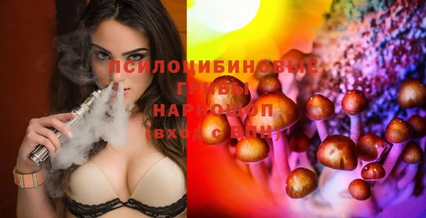apvp Пестово