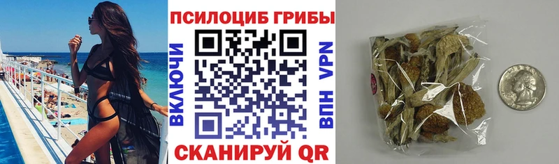 Псилоцибиновые грибы MAGIC MUSHROOMS  Купить закладки  Мариинск 